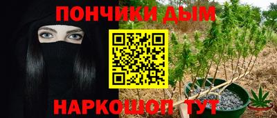 индика Заводоуковск