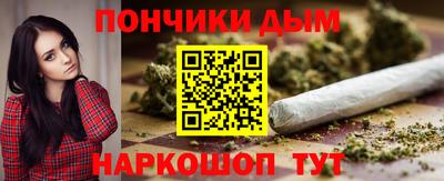 индика Заводоуковск