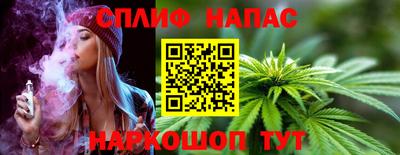 индика Заводоуковск