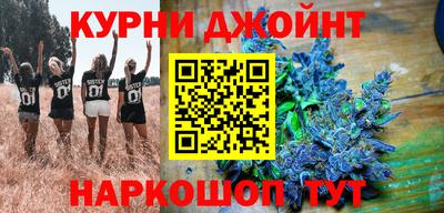 индика Заводоуковск