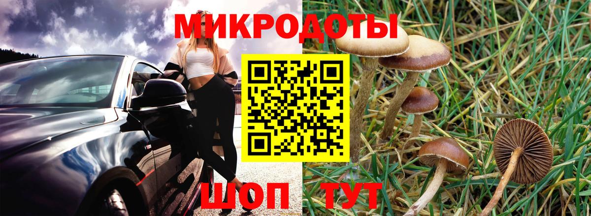 Псилоцибиновые грибы ЛСД Назрань
