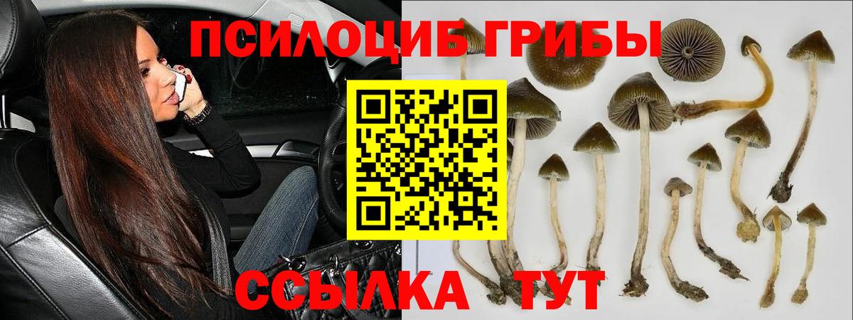 Псилоцибиновые грибы прущие грибы  Галлюциногенные грибы мухоморы  Назрань  Вход с VPN 